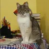 Отзыв от Катя Сафонова